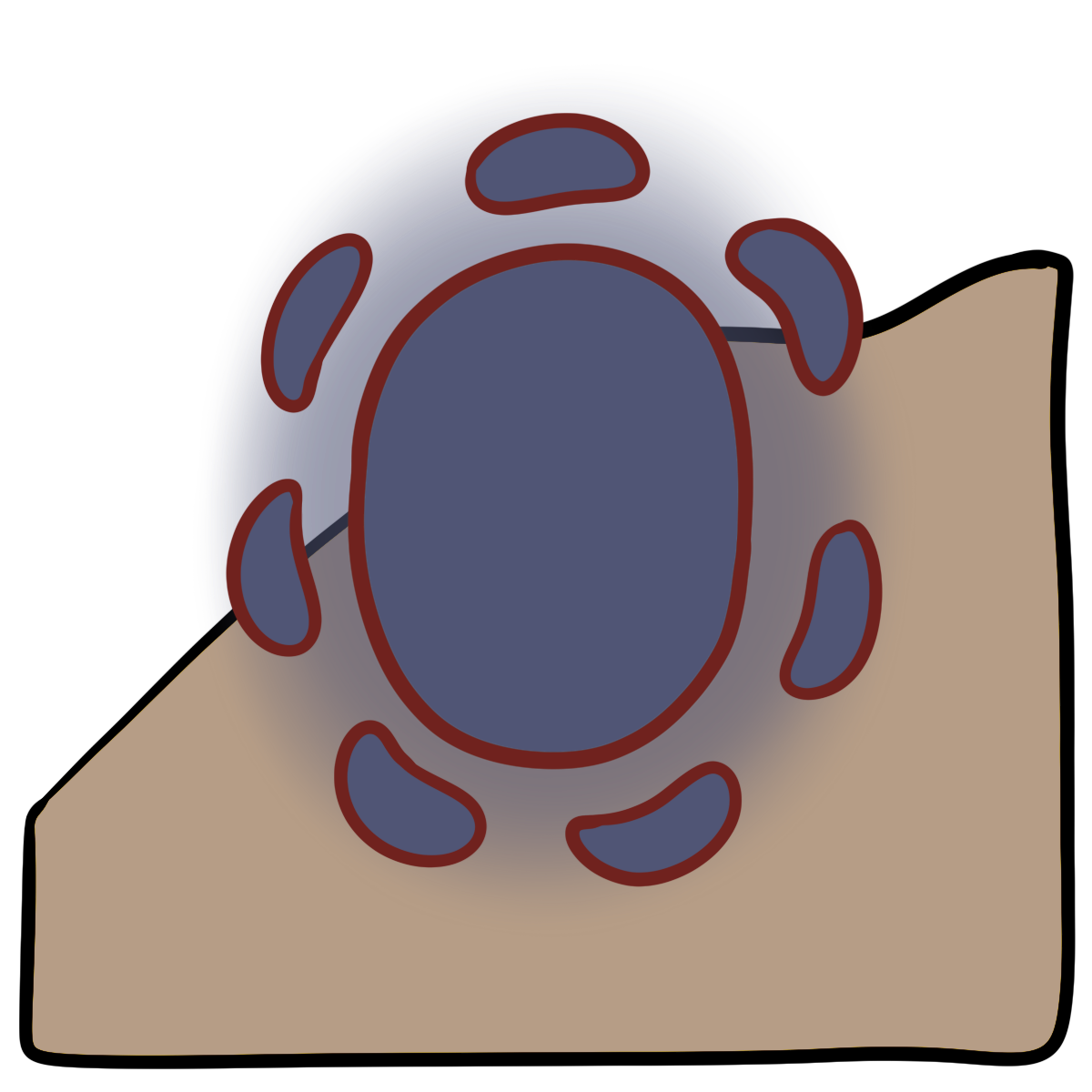 A purple glowing oval ringed by purple lima bean shape with red outlines. Curved beige skin fills the bottom half of the background.